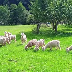 Au Mohair Des Alpy Fougax-et-Barrineuf